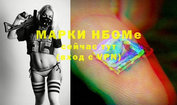 метадон Алексин