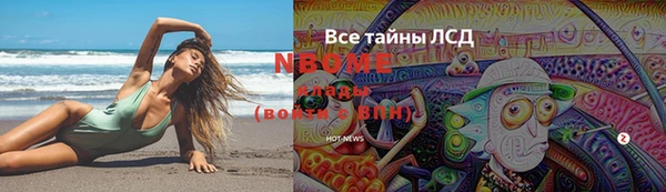 метадон Алексин
